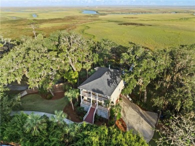 Beach Home For Sale in Brunswick, Georgia