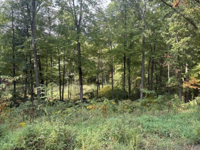 Beach Acreage For Sale in Norton Shores, Michigan