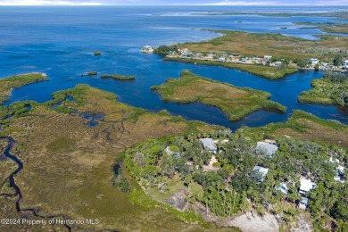 Beach Lot For Sale in Aripeka, Florida