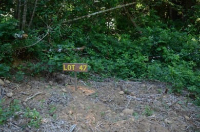 Beach Lot For Sale in Crescent City, California