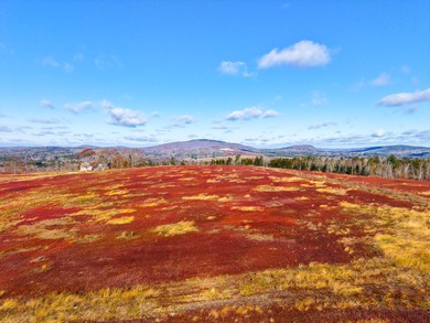 Beach Acreage For Sale in Stockton Springs, Maine