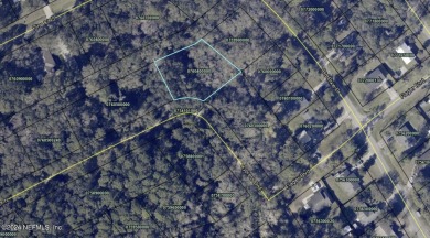 Beach Lot For Sale in St Augustine, Florida