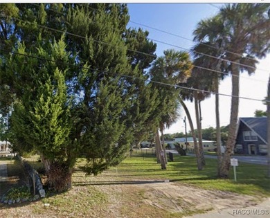 Beach Lot For Sale in Homosassa, Florida