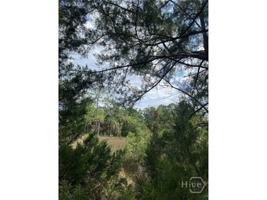 Beach Lot For Sale in Savannah, Georgia