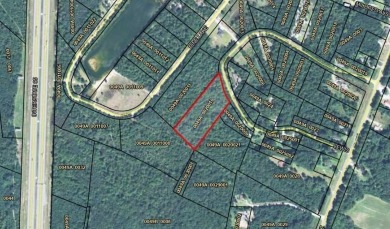 Beach Acreage For Sale in Townsend, Georgia