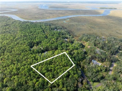 Beach Acreage For Sale in Saint Simons, Georgia