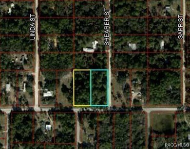 Beach Acreage For Sale in Inglis, Florida