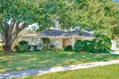 Beach Home For Sale in Palm Harbor, Florida