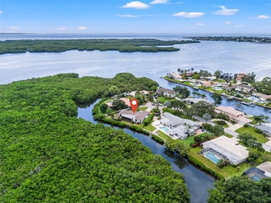 Beach Home Sale Pending in St. Petersburg, Florida