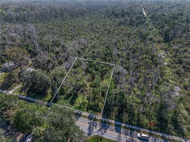 Beach Lot For Sale in Homosassa, Florida
