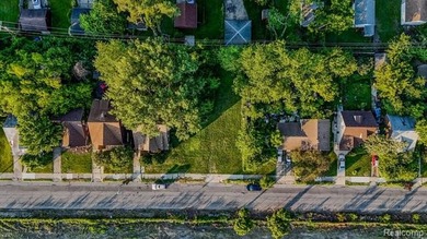 Beach Lot For Sale in Detroit, Michigan