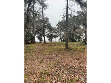 Beach Acreage For Sale in Townsend, Georgia