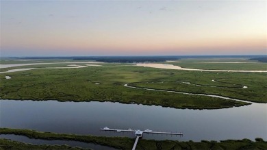 Beach Lot For Sale in Townsend, Georgia