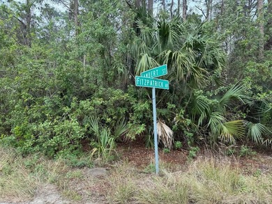 Beach Lot For Sale in Palm Bay, Florida