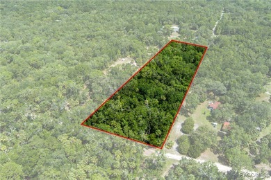 Beach Acreage For Sale in Inglis, Florida