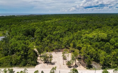 Beach Lot Off Market in Perry, Florida