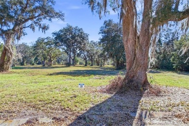 Beach Lot For Sale in Midway, Georgia
