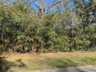 Beach Lot Off Market in Riverview, Florida