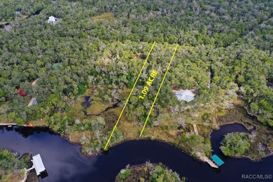Beach Lot For Sale in Homosassa, Florida