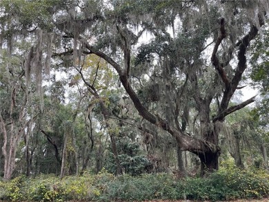 Beach Lot For Sale in Darien, Georgia