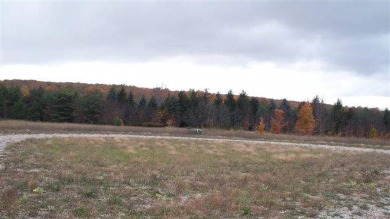 Beach Lot For Sale in Alanson, Michigan