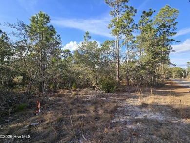 Beach Lot Active Under Contract in Southport, North Carolina