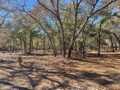 Beach Lot For Sale in Supply, North Carolina