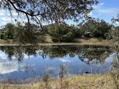 Beach Lot For Sale in Spring Hill, Florida