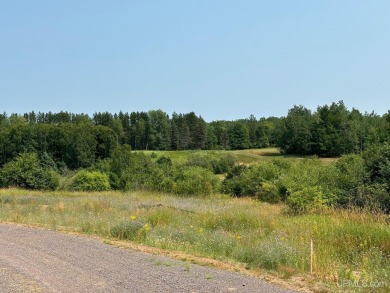 Beach Lot For Sale in Houghton, Michigan