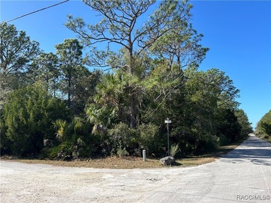 Beach Lot For Sale in Crystal River, Florida