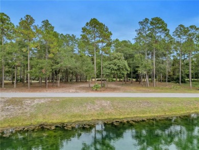 Beach Lot For Sale in Townsend, Georgia