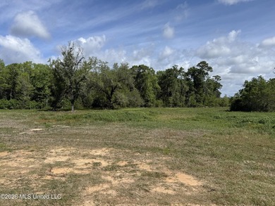 Beach Commercial For Sale in Long Beach, Mississippi