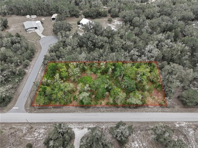 Beach Lot For Sale in Crystal River, Florida