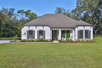 Beach Home For Sale in Hudson, Florida