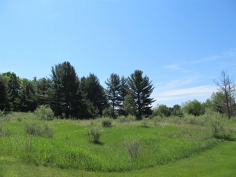 Beach Lot Off Market in Harbor Springs, Michigan