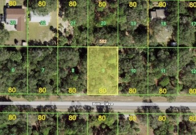 Beach Lot For Sale in Port Charlotte, Florida