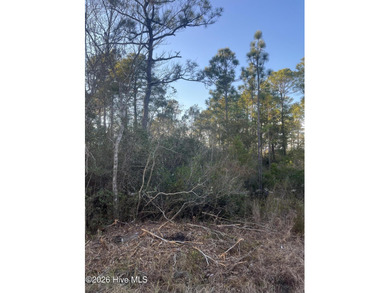 Beach Lot For Sale in Southport, North Carolina
