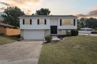 Beach Home Sale Pending in Eastlake, Ohio