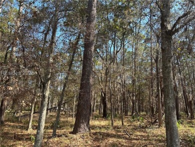 Beach Lot For Sale in Daufuskie Island, South Carolina