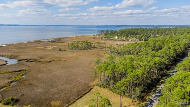 Beach Acreage For Sale in Milton, Florida