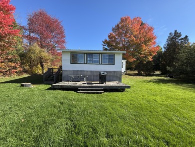 Beach Home For Sale in Sugar Island, Michigan