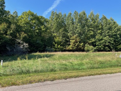 Beach Lot For Sale in Onekama, Michigan