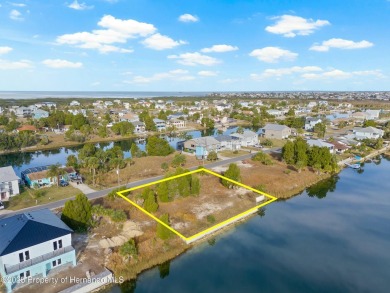 Beach Lot For Sale in Hernando Beach, Florida