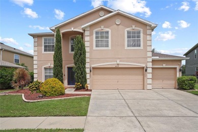 Beach Home For Sale in Land O Lakes, Florida