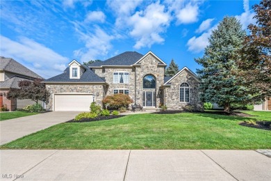 Beach Home For Sale in Avon, Ohio