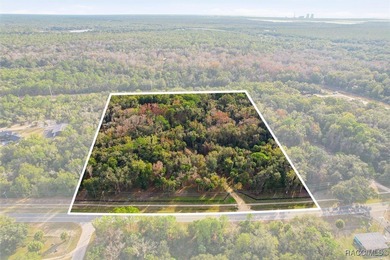 Beach Acreage For Sale in Inglis, Florida