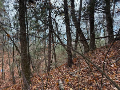 Beach Lot For Sale in Saint Ignace, Michigan