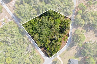 Beach Lot Sale Pending in Crystal River, Florida