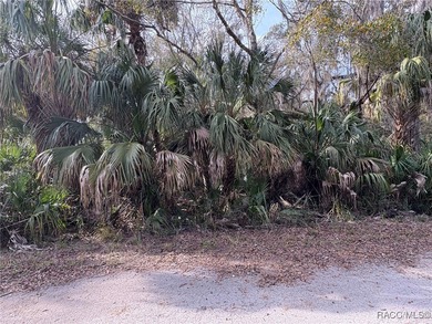 Beach Lot Sale Pending in Crystal River, Florida