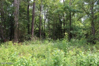 Beach Lot Off Market in Stella, North Carolina